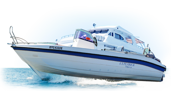 电话呼叫软件网页版